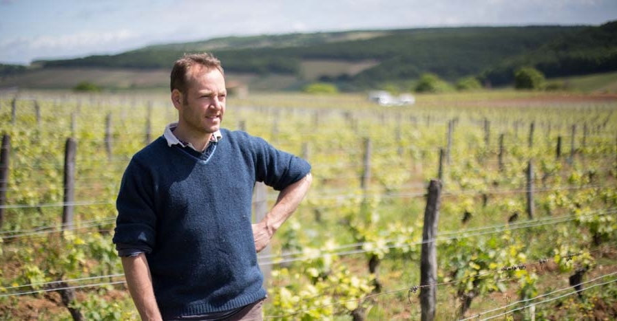 Clos des Vignes du Maynes