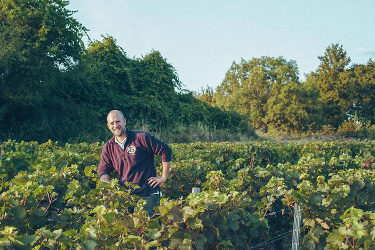 Domaine Arnaud Baillot