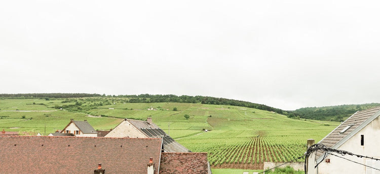 Domaine Mongeard-Mugneret