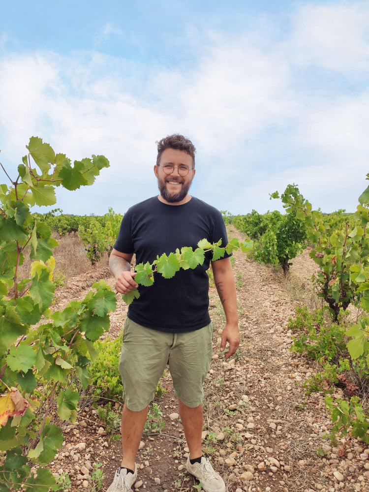 Domaine des Celestes