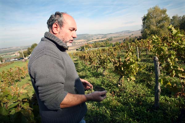 Jean Maupertuis