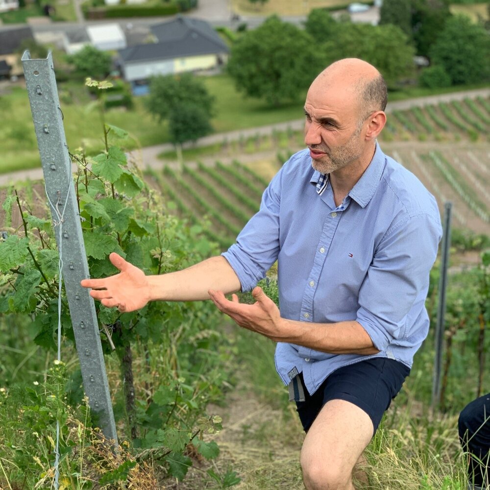 Peter Lauer