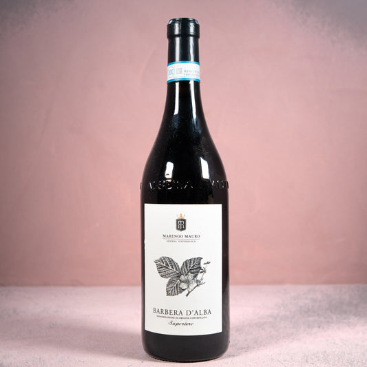 Barbera d'Alba Superiore 2021
