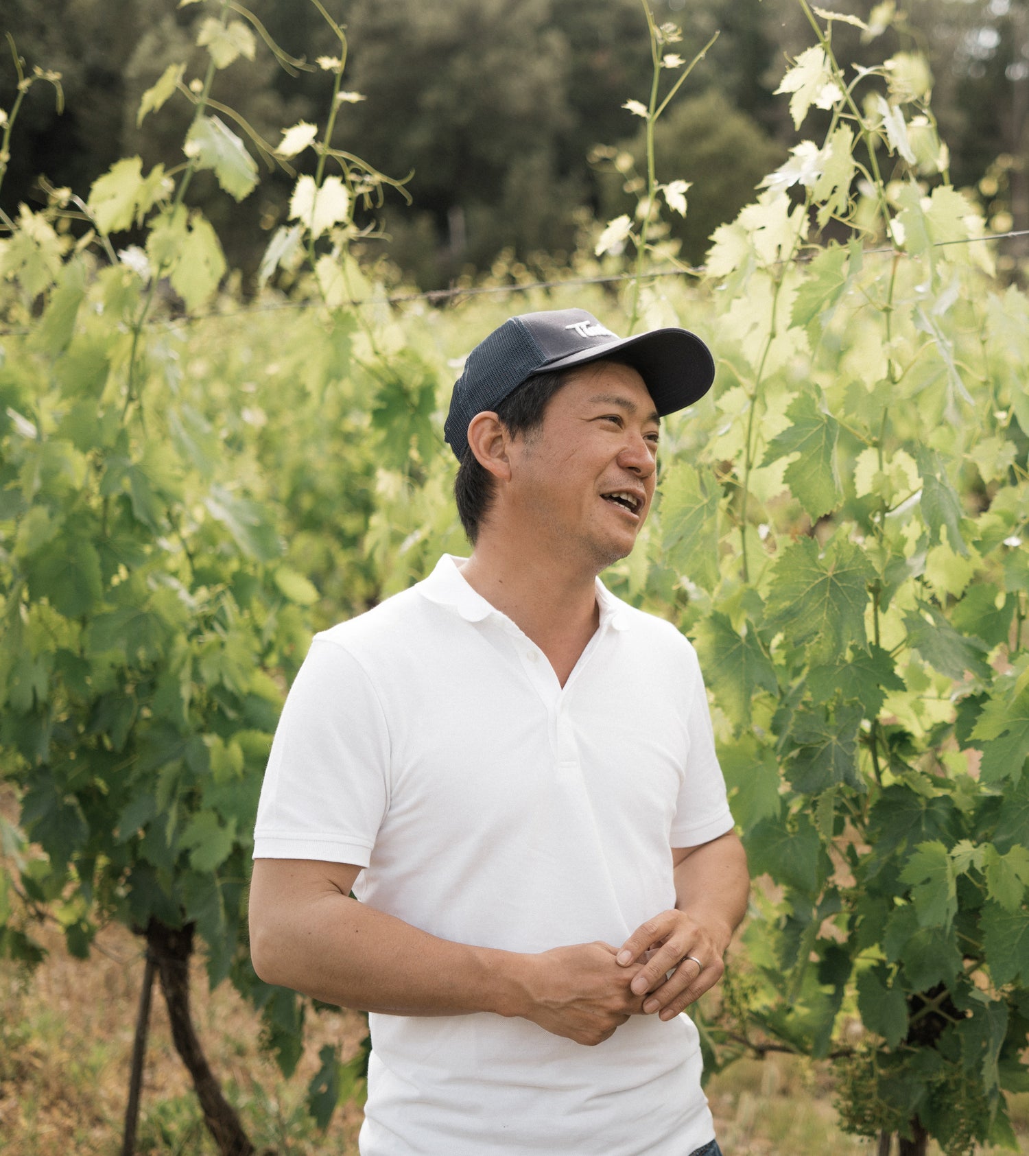 Il Vignaiolo Di Toru Oikawa