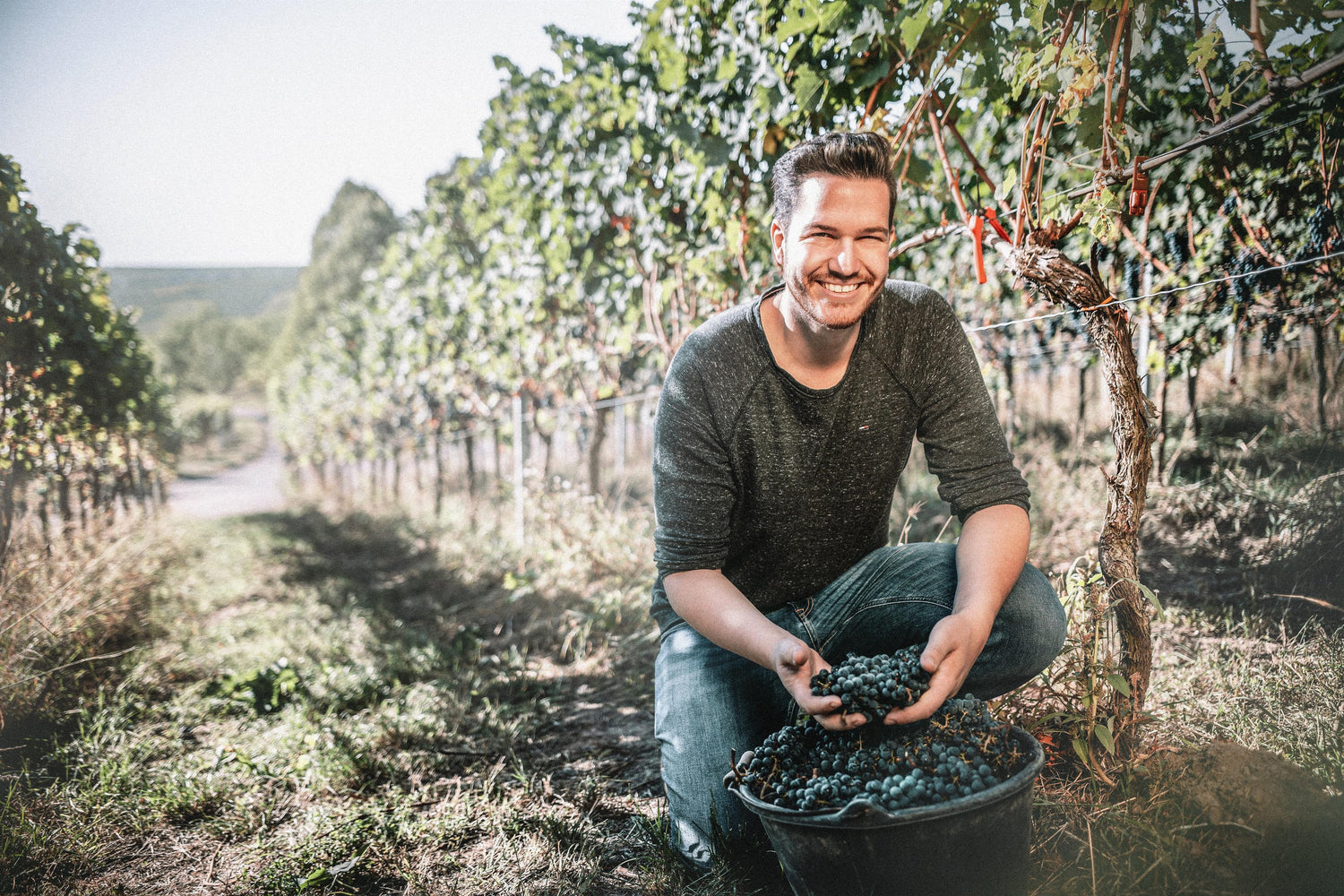 Weingut Wolf