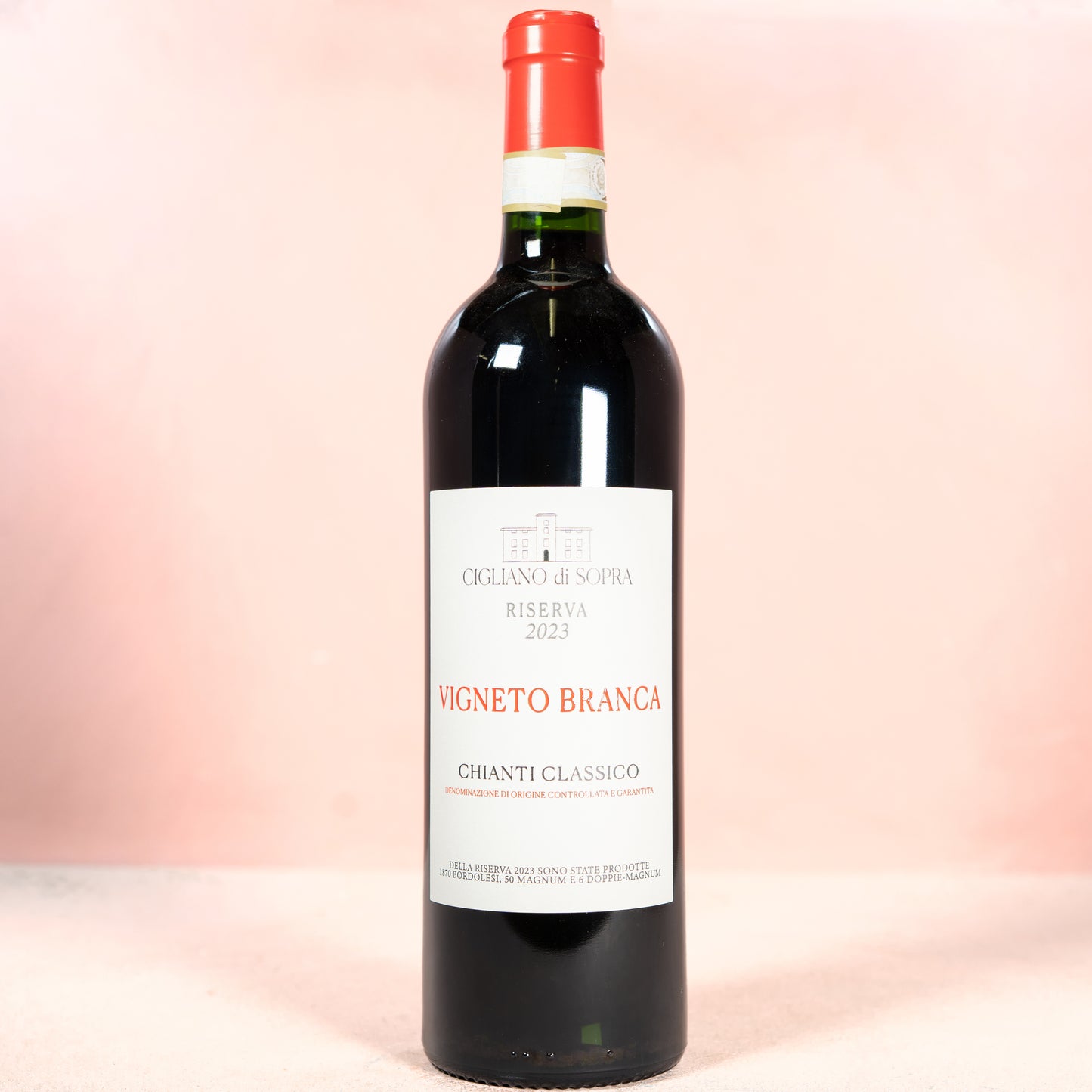 Chianti Classico Riserva Vigneto Branca 2023