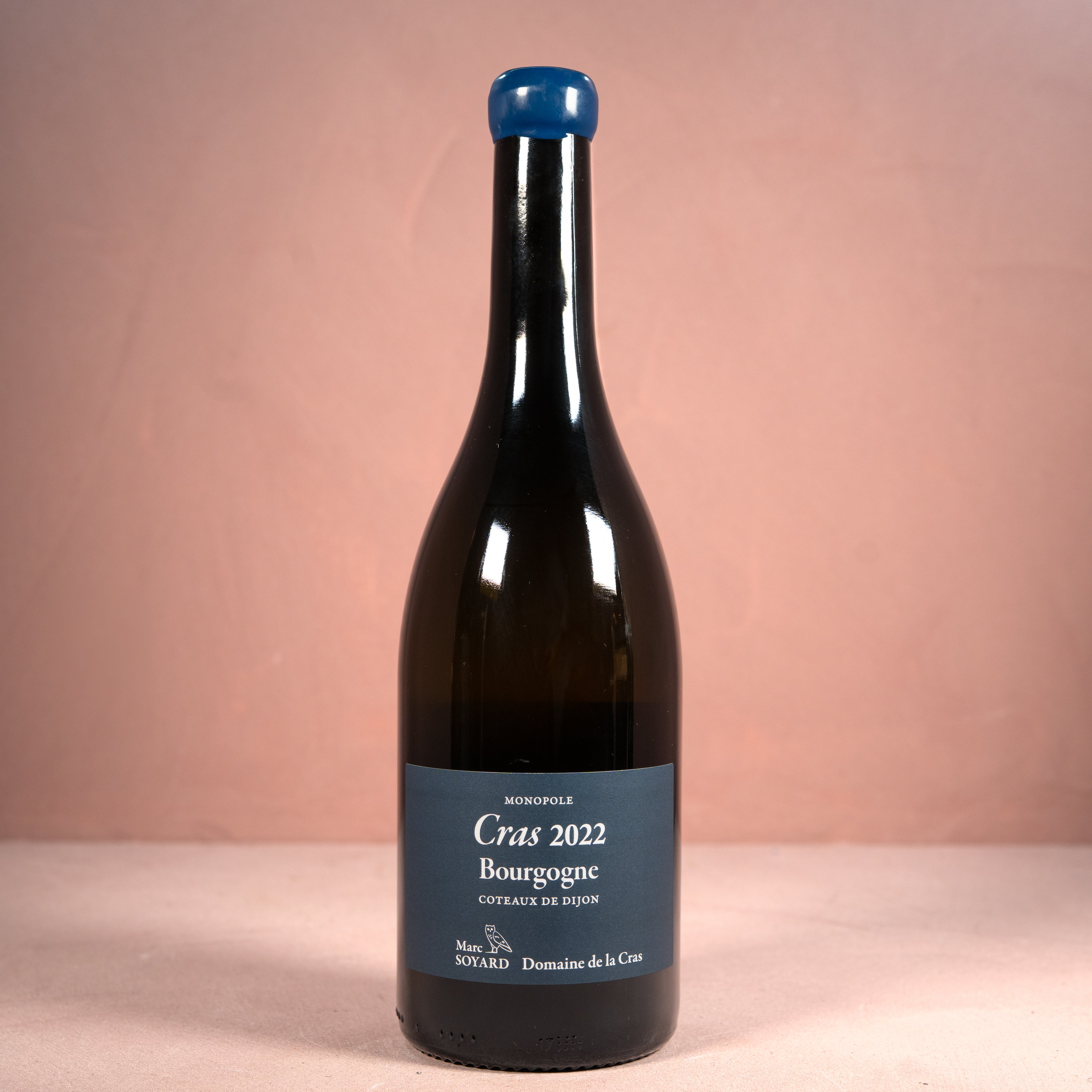 Untitled-259.jpg?v=1745433881&